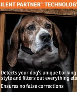 SportDOG NoBark SBC-R Waterproof Rechargeable Dog Bark Collar -PetSafe Store 131042 PT3. SY630 V1590606176