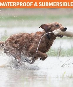 SportDOG NoBark SBC-R Waterproof Rechargeable Dog Bark Collar -PetSafe Store 131042 PT4. SY630 V1590606172