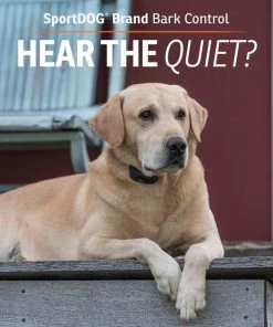 SportDOG NoBark SBC-R Waterproof Rechargeable Dog Bark Collar -PetSafe Store 131042 PT5. SY630 V1590606187