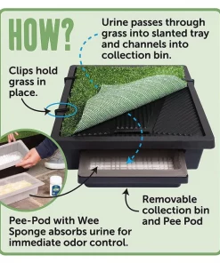 PetSafe Pet Loo Portable Indoor & Outdoor Dog Potty -PetSafe Store 140648 PT6. SY630 V1510777986