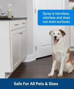 PetSafe SSSCAT Deterrent Dog & Cat Spray Replacement Can 10 PetSafe SSSCAT Deterrent Dog & Cat Spray Replacement Can -PetSafe Store 140657 PT3. SY630 V1645497773