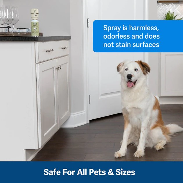 PetSafe SSSCAT Deterrent Dog & Cat Spray Replacement Can 4 PetSafe SSSCAT Deterrent Dog & Cat Spray Replacement Can - Image 4