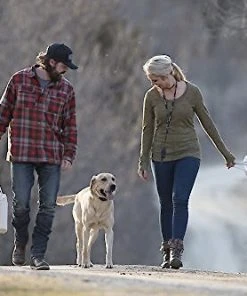 SportDOG Contain + Train System -PetSafe Store 140659 PT5. SY630 V1510778017