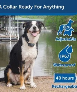 PetSafe Remote Trainer Dog Collar -PetSafe Store 142860 PT4. SY630 V1627004473