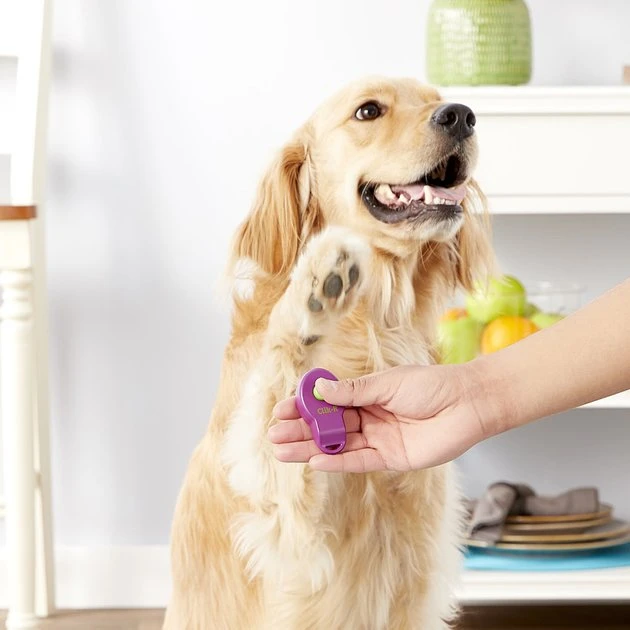 PetSafe Clik-R Dog Training Tool 3 PetSafe Clik-R Dog Training Tool - Image 3