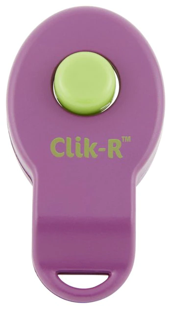 PetSafe Clik-R Dog Training Tool 4 PetSafe Clik-R Dog Training Tool - Image 4