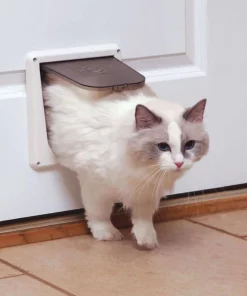 PetSafe 4-Way Locking Pet Door, Up to 15-lbs