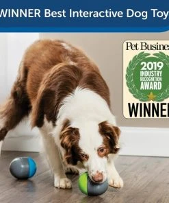 PetSafe Ricochet Interactive Sound Game Dog Toy -PetSafe Store 159052 PT3. SY630 V1599844580