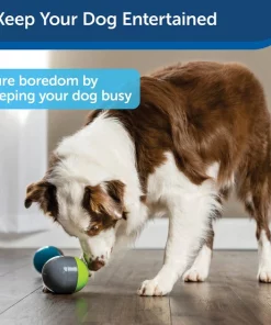 PetSafe Ricochet Interactive Sound Game Dog Toy -PetSafe Store 159052 PT4. SY630 V1599844574
