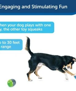 PetSafe Ricochet Interactive Sound Game Dog Toy -PetSafe Store 159052 PT5. SY630 V1599844596