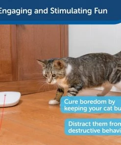 PetSafe Laser Tail Laser Cat Toy -PetSafe Store 159065 PT3. SY630 V1599843959