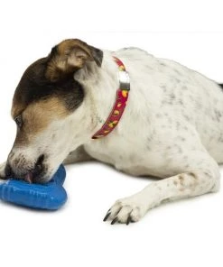 PetSafe Chilly Penguin Freezable Treat Holding Dog Toy 8 PetSafe Chilly Penguin Freezable Treat Holding Dog Toy -PetSafe Store 159073 PT2. SY630 V1599640859