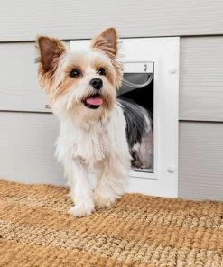 PetSafe White Wall Entry Plastic Pet Door