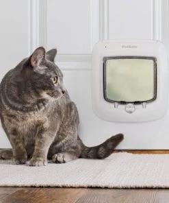 PetSafe 4-Way Locking Microchip Entry Cat Door