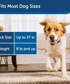 PetSafe Rechargable Remote Spray Dog Training Collar with Disposable Spray Cartridges -PetSafe Store 159094 PT8. SY630 V1614893785