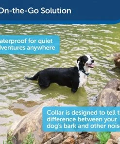 PetSafe Waterproof Basic Static Dog Bark Collar -PetSafe Store 159096 PT2. SY630 V1619794384