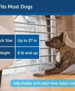 PetSafe Waterproof Basic Static Dog Bark Collar -PetSafe Store 159096 PT5. SY630 V1626790916