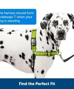 PetSafe Deluxe Easy Walk Nylon Reflective No Pull Dog Harness -PetSafe Store 161202 PT4. SY630 V1658455732