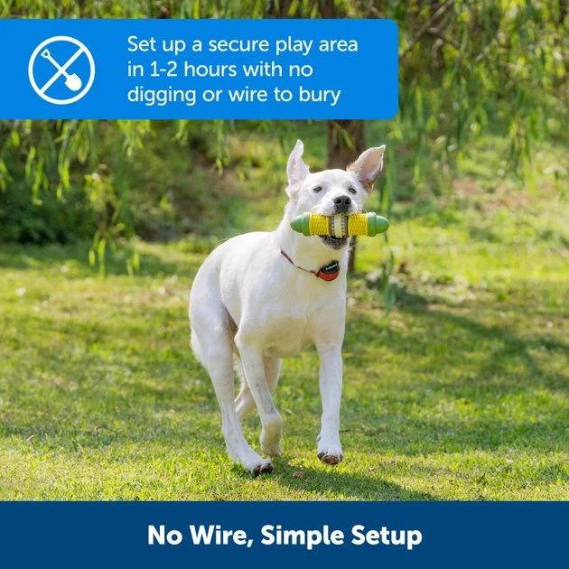 PetSafe Stay & Play Wireless Fence for Stubborn Dogs 2 PetSafe Stay & Play Wireless Fence for Stubborn Dogs - Image 2