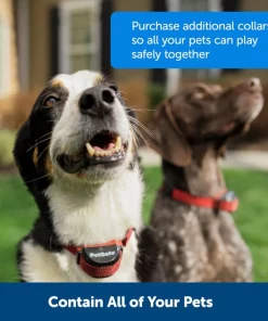 PetSafe Stay & Play Wireless Fence for Stubborn Dogs 12 PetSafe Stay & Play Wireless Fence for Stubborn Dogs -PetSafe Store 166181 PT5. SY630 V1657656049