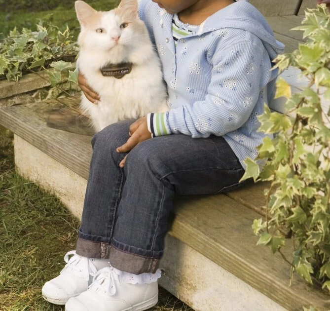 PetSafe In-Ground Cat Fence 2 PetSafe In-Ground Cat Fence - Image 2