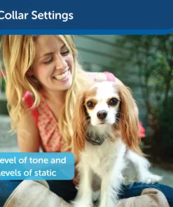 PetSafe Little Dog In-Ground Fence -PetSafe Store 166185 PT4. SY630 V1626451352