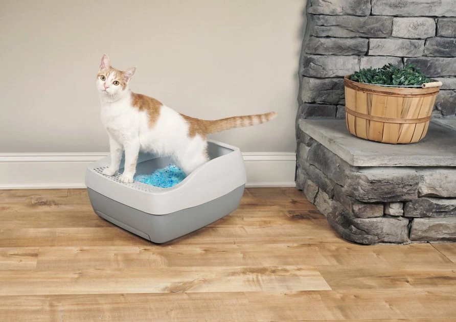 PetSafe Deluxe Crystal Cat Litter Box System 1 PetSafe Deluxe Crystal Cat Litter Box System