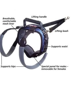 PetSafe CareLift Rear Handicapped Support Dog Harness -PetSafe Store 166217 PT2. SY630 V1600988499