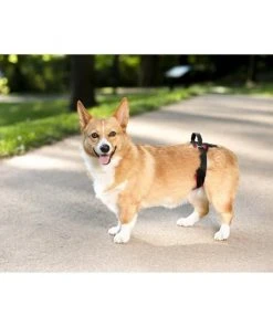 PetSafe CareLift Rear Handicapped Support Dog Harness -PetSafe Store 166217 PT3. SY630 V1600986086