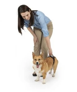 PetSafe CareLift Rear Handicapped Support Dog Harness -PetSafe Store 166217 PT4. SY630 V1601008873