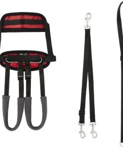 PetSafe CareLift Rear Handicapped Support Dog Harness -PetSafe Store 166217 PT6. SY630 V1575481794
