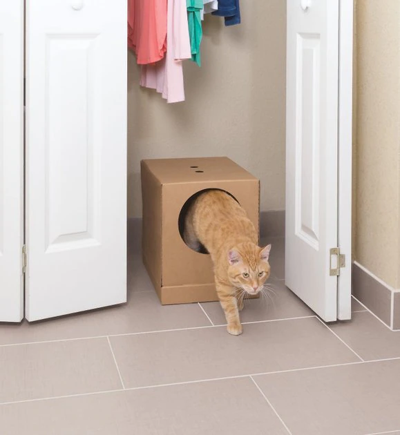 PetSafe Disposable Collapsible Litter Box with ScoopFree Crystal Litter 1 PetSafe Disposable Collapsible Litter Box with ScoopFree Crystal Litter