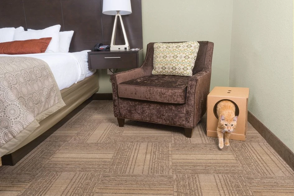 PetSafe Disposable Collapsible Litter Box with ScoopFree Crystal Litter 4 PetSafe Disposable Collapsible Litter Box with ScoopFree Crystal Litter - Image 4