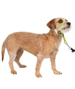 PetSafe Gentle Leader Padded No Pull Dog Headcollar