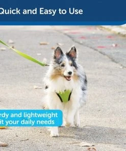 PetSafe Premier Nylon Dog Leash -PetSafe Store 166265 PT2. SY630 V1620010347