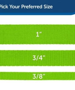 PetSafe Premier Nylon Dog Leash -PetSafe Store 166265 PT4. SY630 V1619977025
