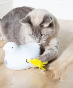 PetSafe Peek-A-Bird Motion Cat Toy -PetSafe Store 181272 PT2. SY630 V1564610015