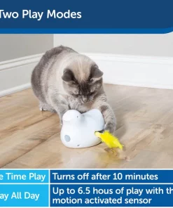 PetSafe Peek-A-Bird Motion Cat Toy -PetSafe Store 181272 PT5. SY630 V1599844553