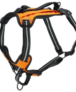 PetSafe Walk Along Nylon Reflective Back Clip Dog Harness