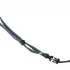 PetSafe Remote Dog Trainer Transmitter Lanyard