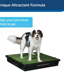 PetSafe Skip To My Loo House Dog Training Scent, 125-ml bottle 9 PetSafe Skip To My Loo House Dog Training Scent, 125-ml bottle -PetSafe Store 185264 PT3. SY630 V1619794039