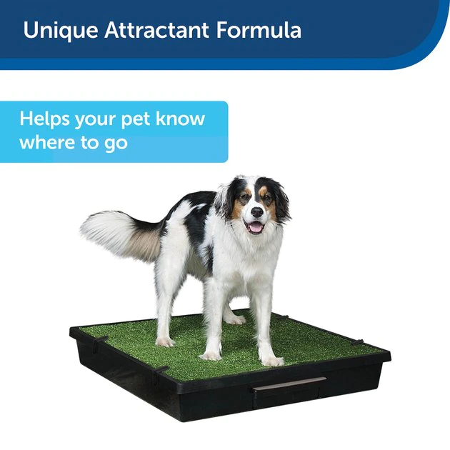 PetSafe Skip To My Loo House Dog Training Scent, 125-ml bottle 4 PetSafe Skip To My Loo House Dog Training Scent, 125-ml bottle - Image 4