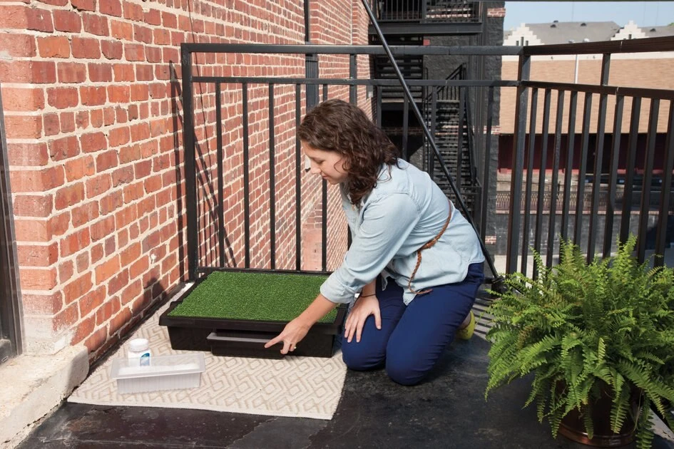 PetSafe Pet Loo Portable Dog Potty Pee Pod & Wee Sponge Disposal Kit, 7 count 4 PetSafe Pet Loo Portable Dog Potty Pee Pod & Wee Sponge Disposal Kit, 7 count - Image 4