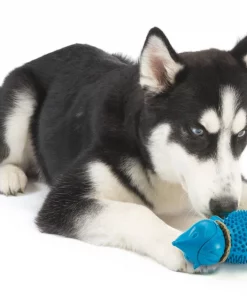 PetSafe Busy Buddy Hedgehog Treat Dispenser Dog Toy 9 PetSafe Busy Buddy Hedgehog Treat Dispenser Dog Toy -PetSafe Store 185293 PT2. SY630 V1564610878