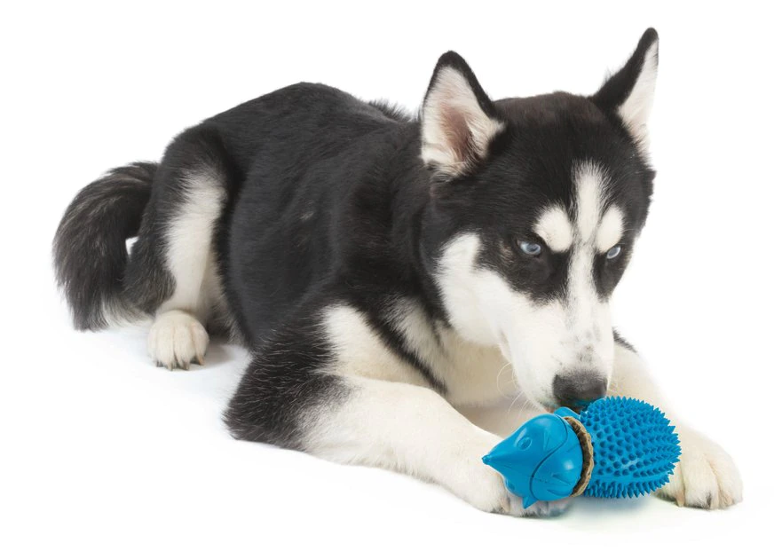 PetSafe Busy Buddy Hedgehog Treat Dispenser Dog Toy 3 PetSafe Busy Buddy Hedgehog Treat Dispenser Dog Toy - Image 3