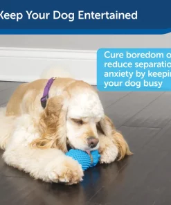 PetSafe Busy Buddy Hedgehog Treat Dispenser Dog Toy 10 PetSafe Busy Buddy Hedgehog Treat Dispenser Dog Toy -PetSafe Store 185293 PT3. SY630 V1602293777