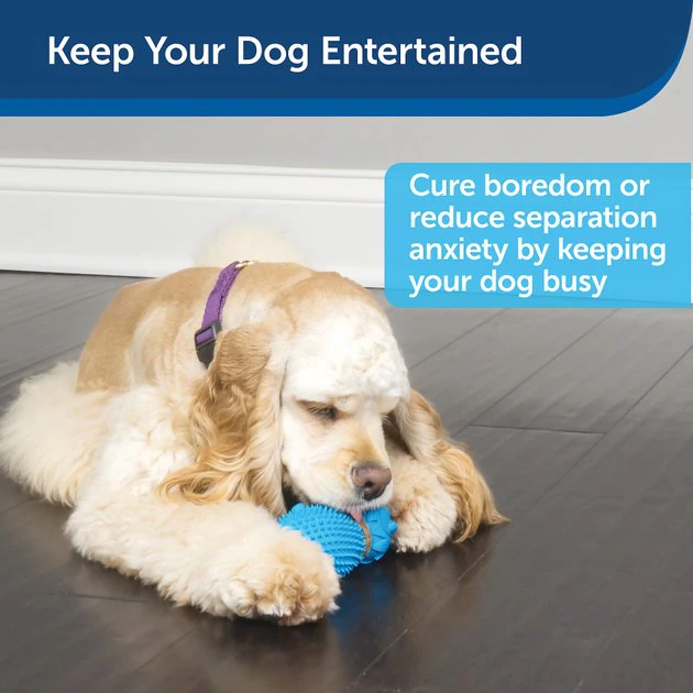 PetSafe Busy Buddy Hedgehog Treat Dispenser Dog Toy 4 PetSafe Busy Buddy Hedgehog Treat Dispenser Dog Toy - Image 4