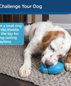 PetSafe Busy Buddy Hedgehog Treat Dispenser Dog Toy 13 PetSafe Busy Buddy Hedgehog Treat Dispenser Dog Toy -PetSafe Store 185293 PT6. SY630 V1602300363