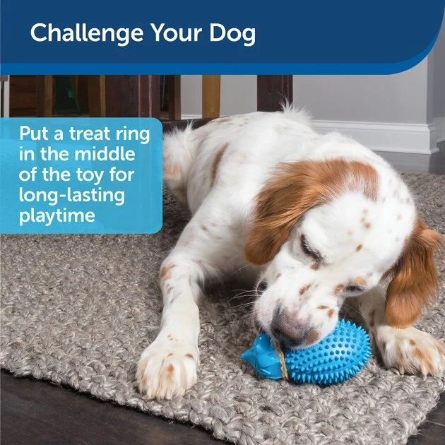 PetSafe Busy Buddy Hedgehog Treat Dispenser Dog Toy 7 PetSafe Busy Buddy Hedgehog Treat Dispenser Dog Toy - Image 7