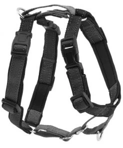 PetSafe 3-in-1 Reflective Dog Harness & Leash